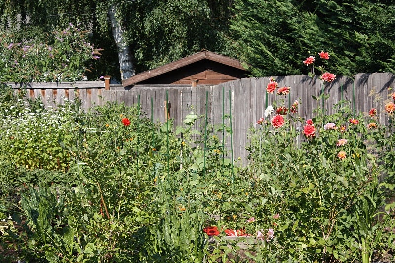 Gorgeous garden with food from May through October.