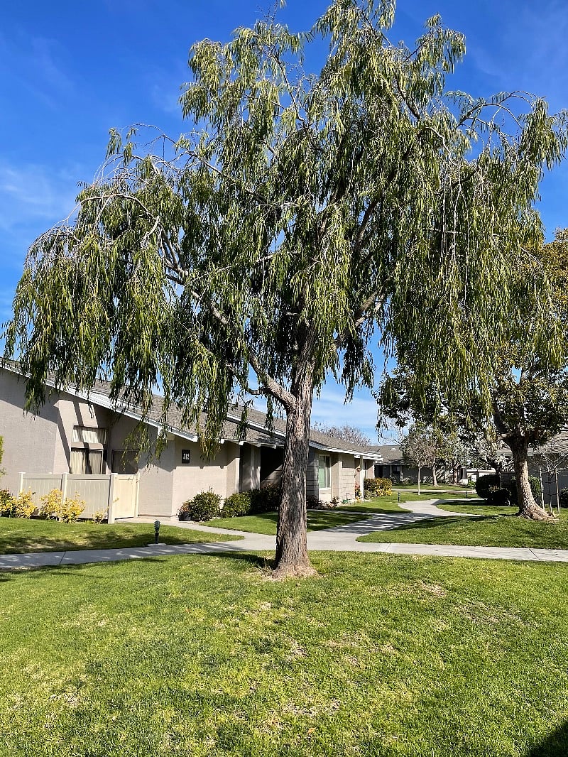Furnished Finder property 480800_1 photo 17