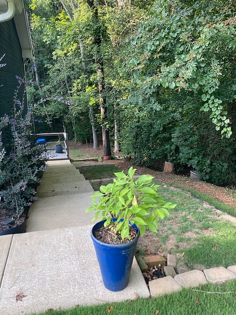 Furnished Finder property 480828_2 photo 11
