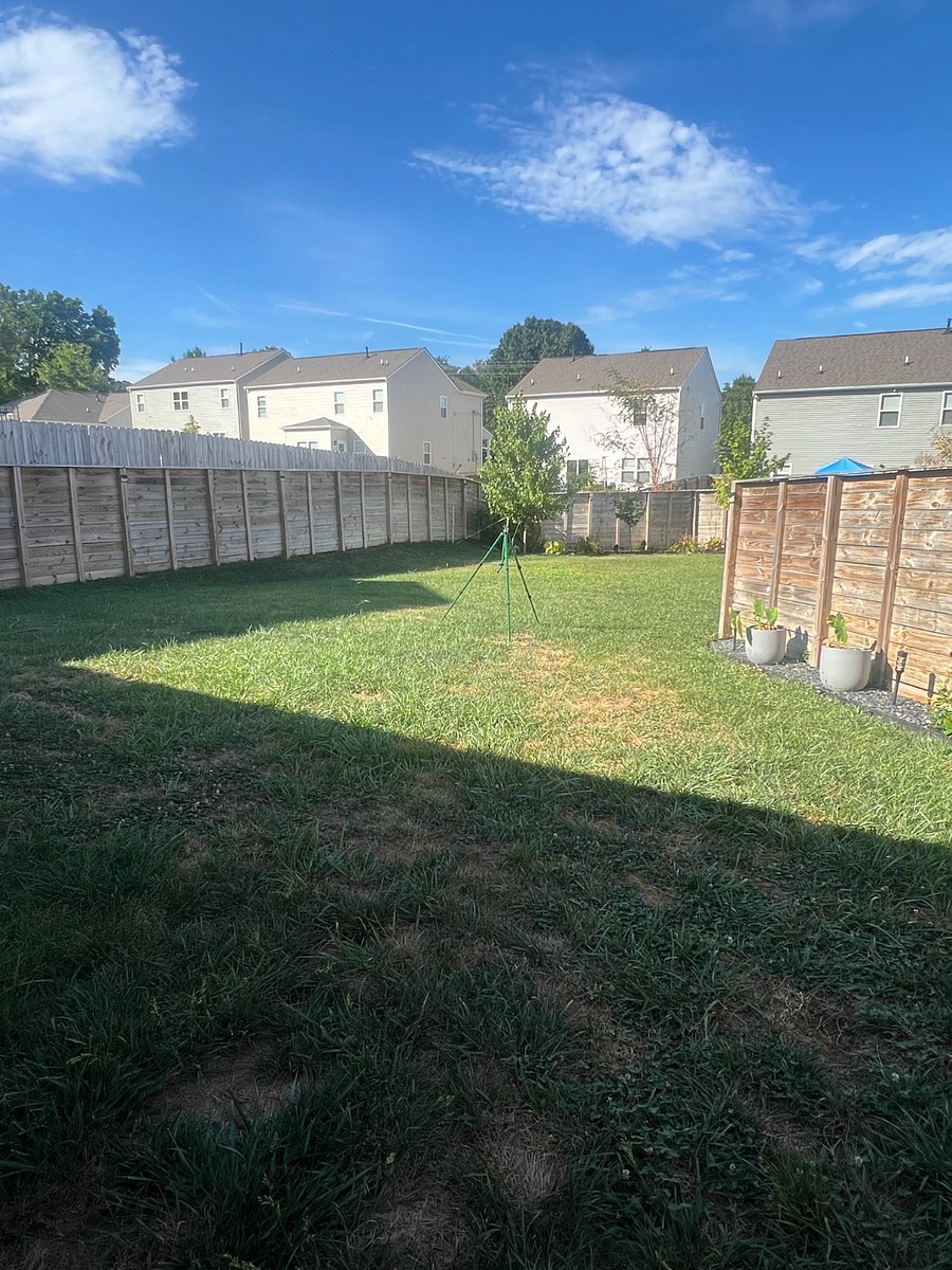 Furnished Finder property 480966_1 photo 11