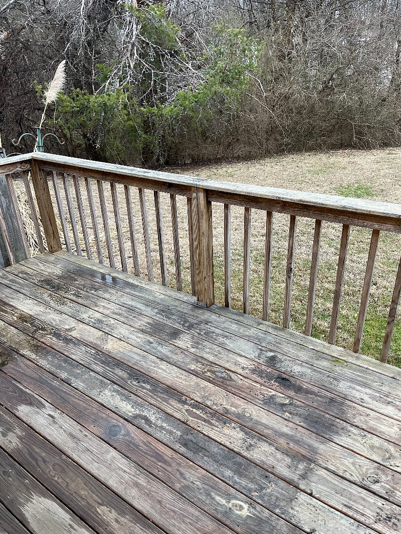 Furnished Finder property 480968_1 photo 14