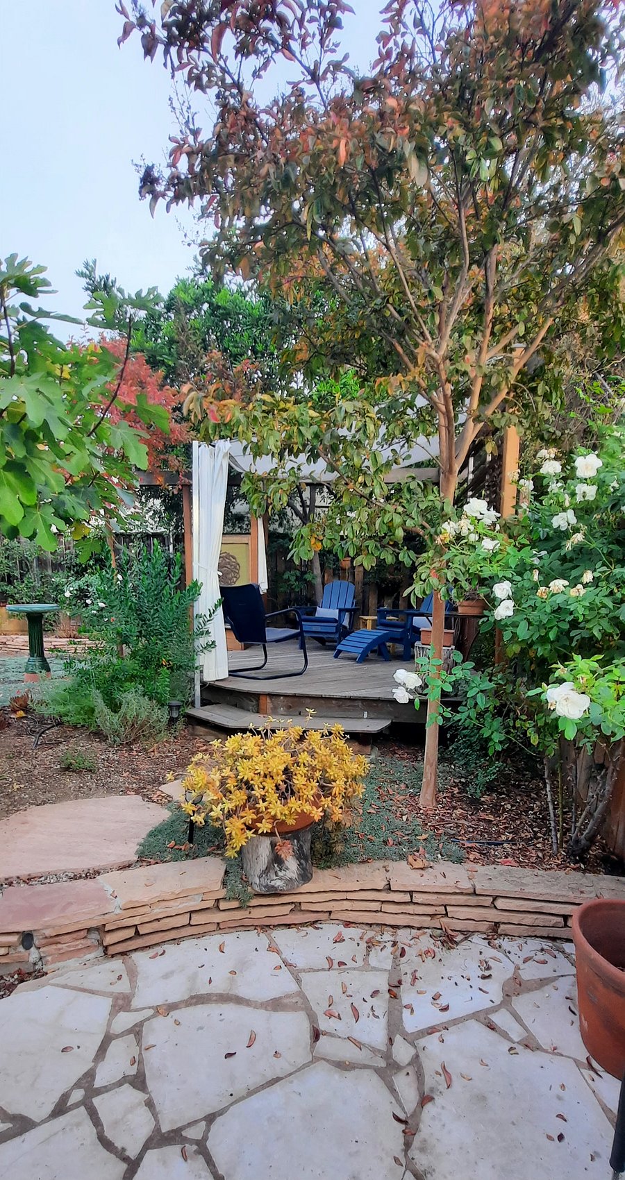 Furnished Finder property 480971_1 photo 10