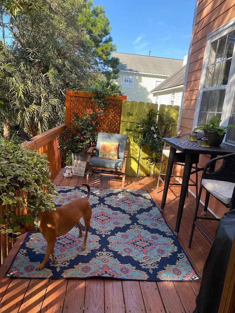 Furnished Finder property 481109_2 photo 10