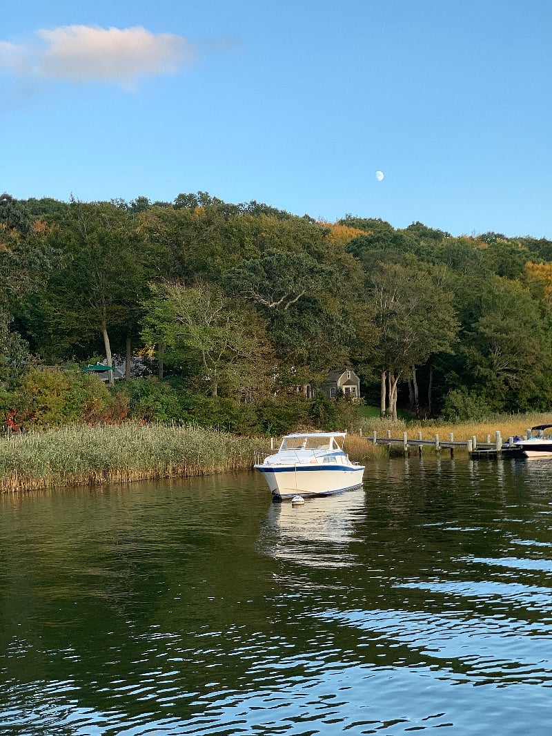Inland waterways are beautiful for bird watching paddle boarding, kayaking. 