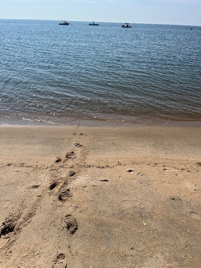 HOT outdoor shower after your beach day in the Long Island sound sound and the sun 
