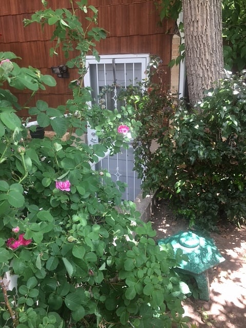 entry door to the apartment.