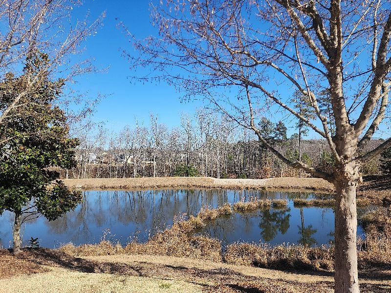 Furnished Finder property 481172_1 photo 3