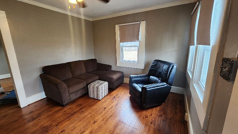 Furnished Finder property 481332_1 photo 4