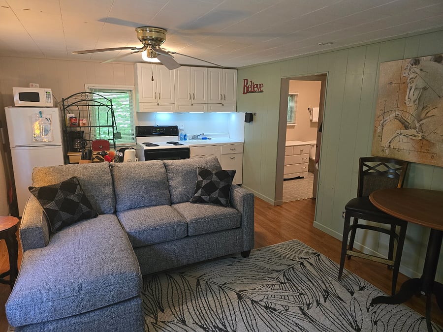 Furnished Finder property 481342_1 photo 3