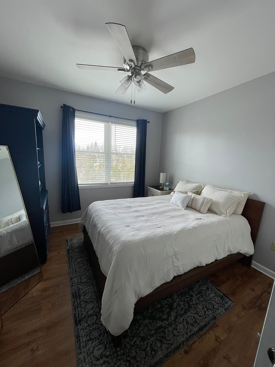 Furnished Finder property 481365_1 photo 4