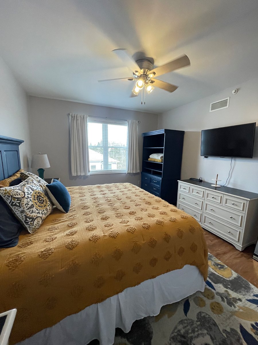 Furnished Finder property 481365_1 photo 5