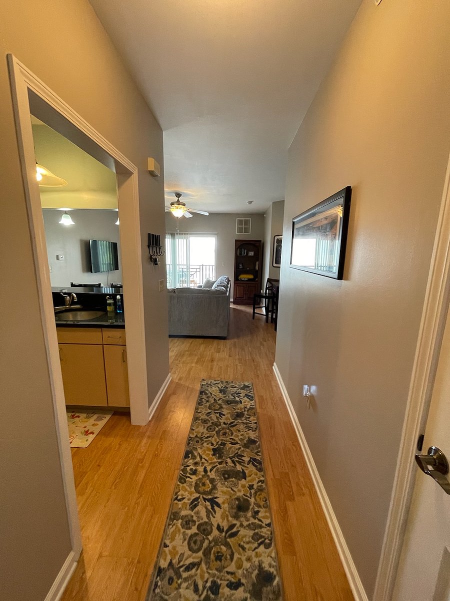 Furnished Finder property 481365_1 photo 6