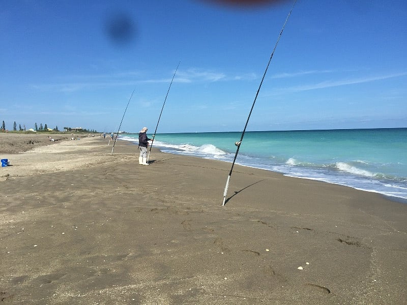 Beach fishing to your heart's content!