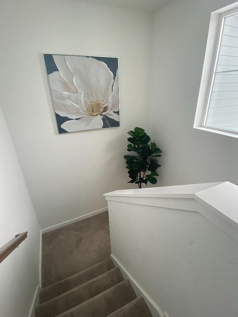 Furnished Finder property 481585_1 photo 6