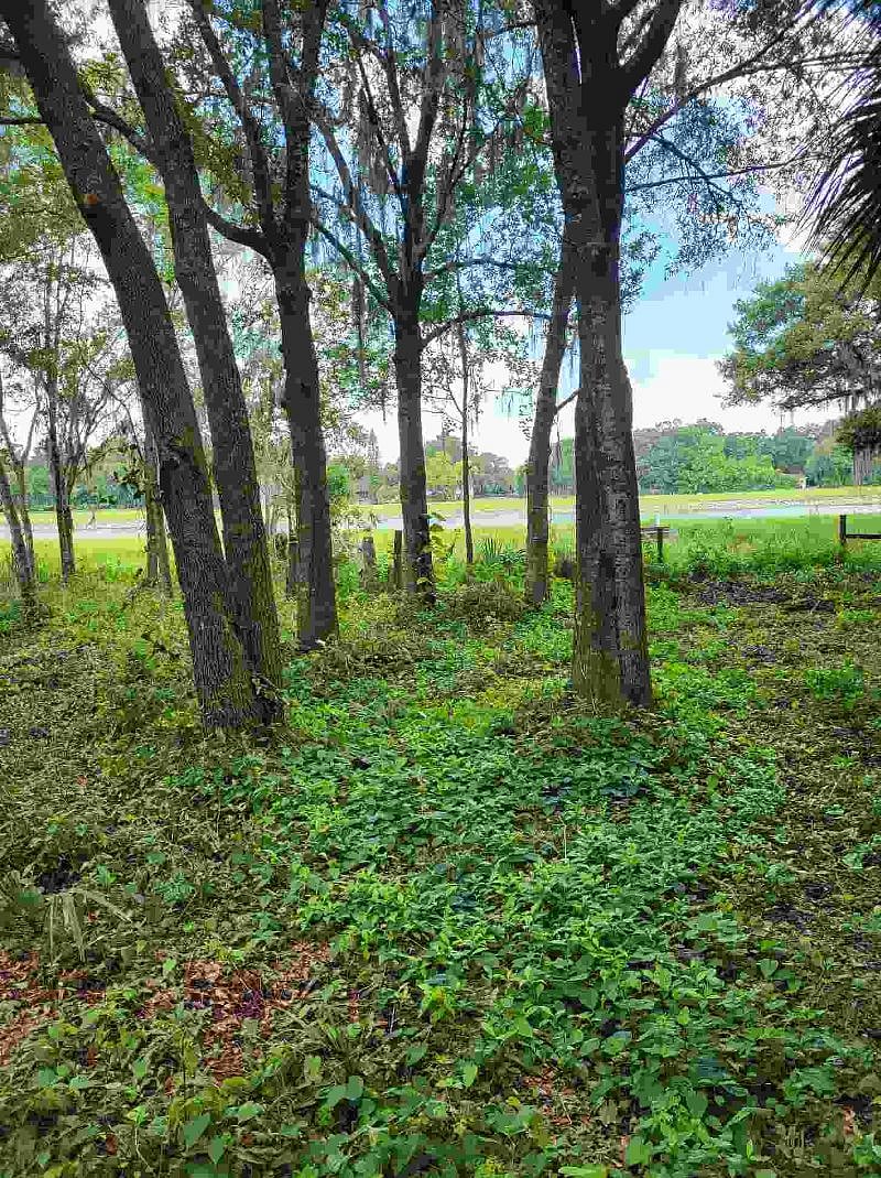 Furnished Finder property 481619_1 photo 24