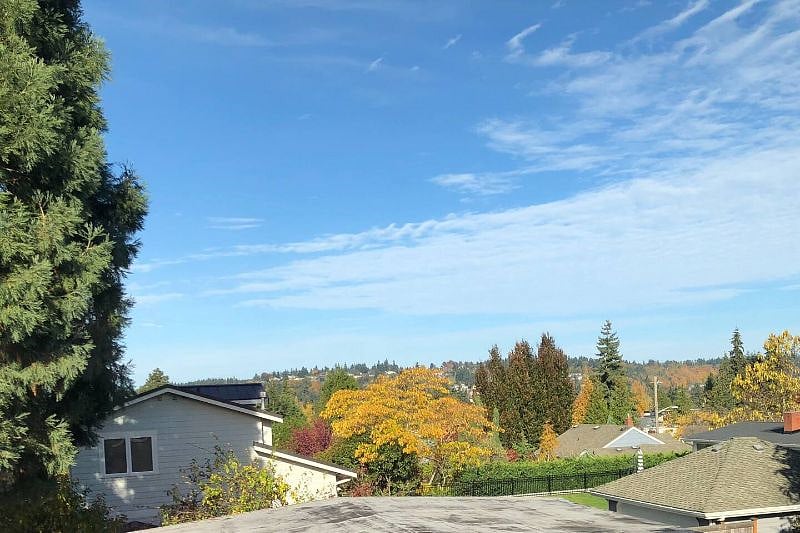 Living room window view, including a seasonal peek of the water and Seattle skyline