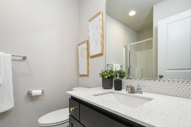 Furnished Finder property 481698_1 photo 15