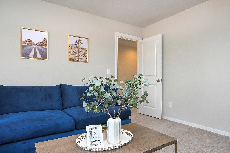 Furnished Finder property 481698_1 photo 33