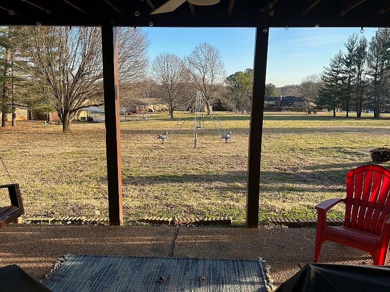 Furnished Finder property 481732_1 photo 18