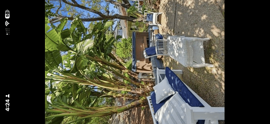 Furnished Finder property 481807_1 photo 10
