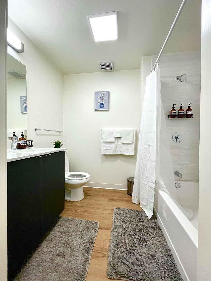 Furnished Finder property 481934_1 photo 11