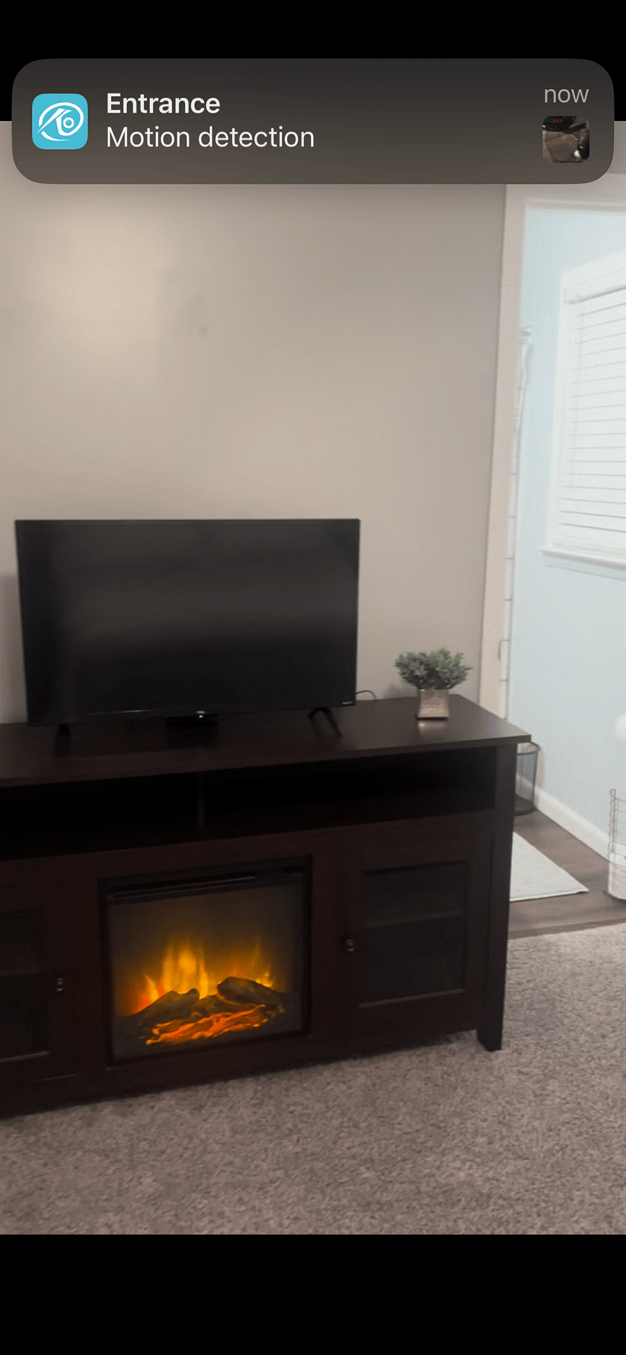 Furnished Finder property 481962_2 photo 12