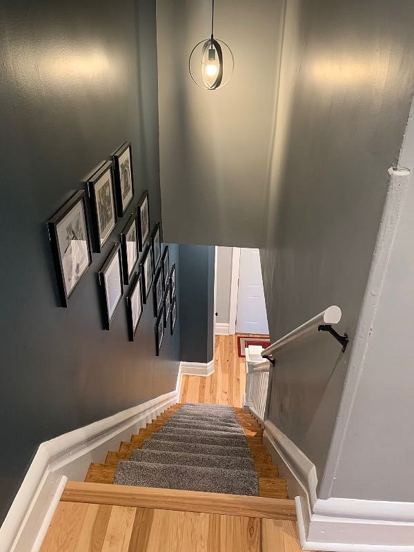 Furnished Finder property 482088_1 photo 11