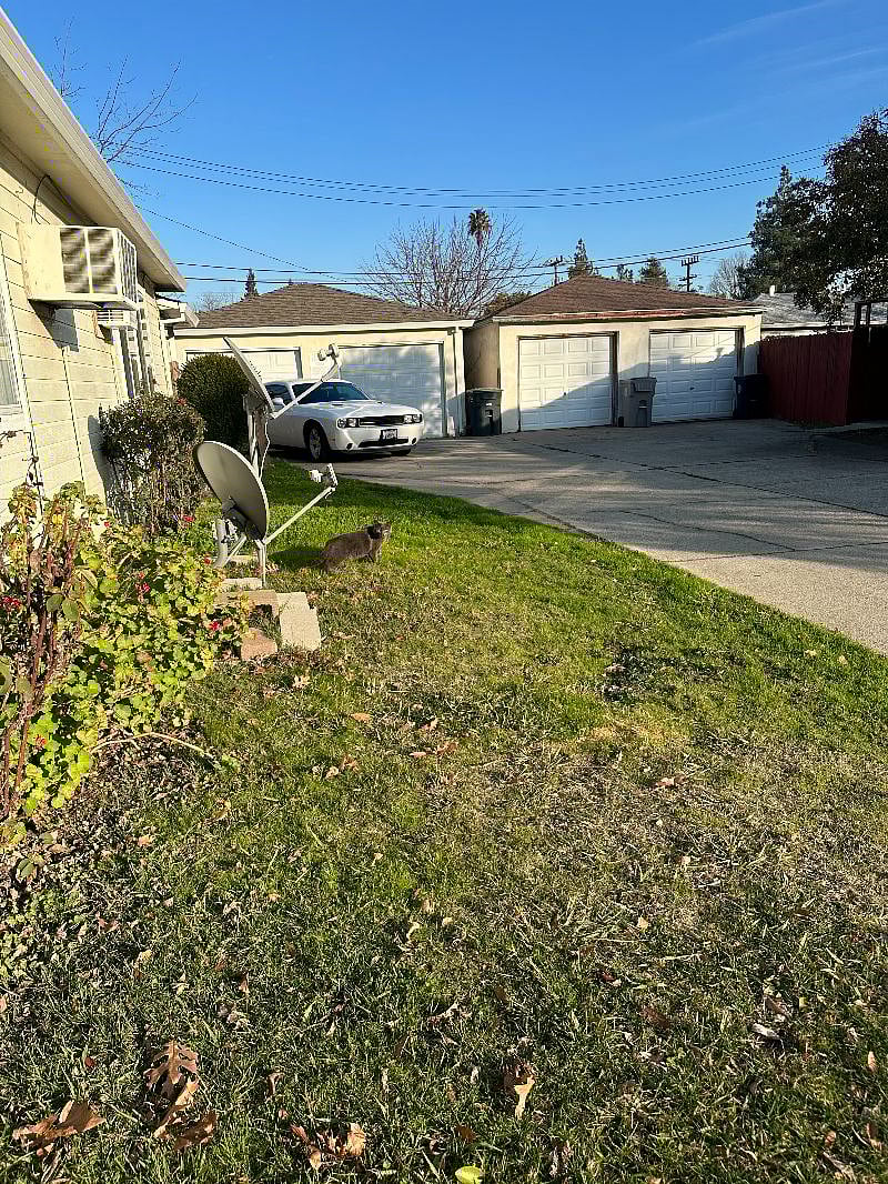Furnished Finder property 482101_1 photo 11