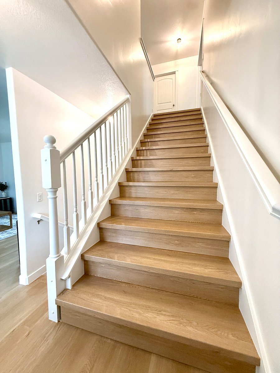 Furnished Finder property 482163_1 photo 85