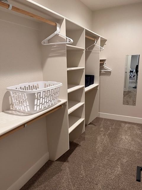 Primary Walk-In Closet