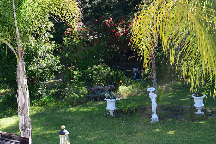 Furnished Finder property 482233_2 photo 22