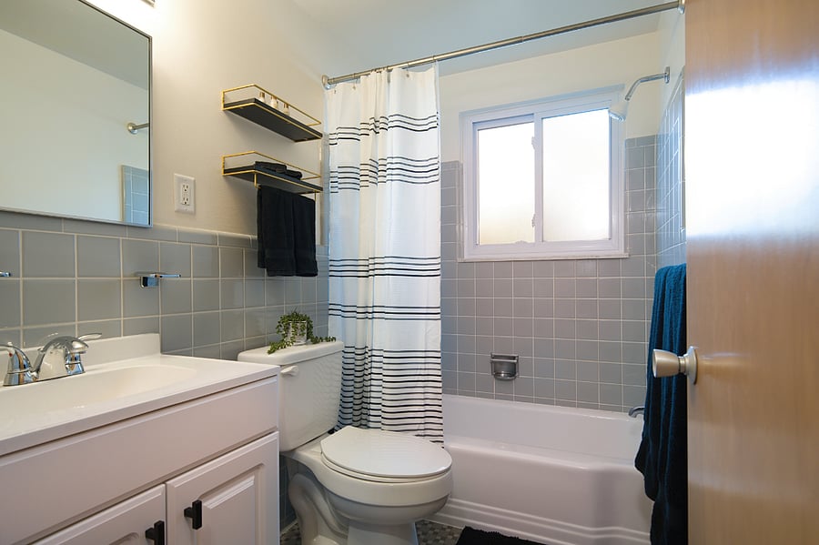 Furnished Finder property 482372_3 photo 15