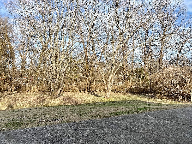 Furnished Finder property 482410_1 photo 16