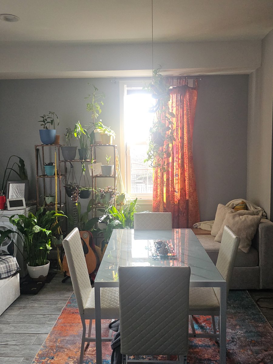 Furnished Finder property 482545_1 photo 13