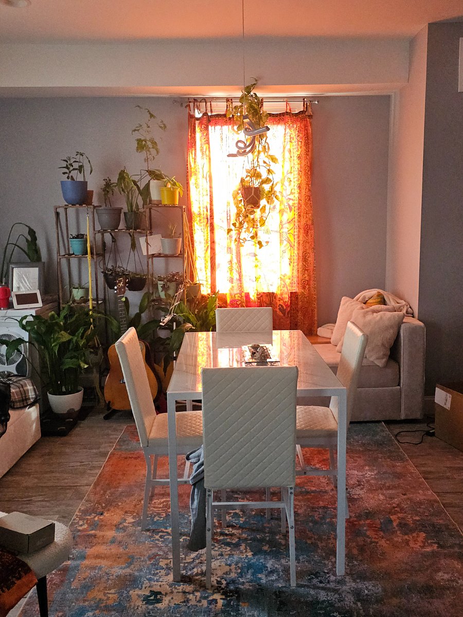 Furnished Finder property 482545_1 photo 15
