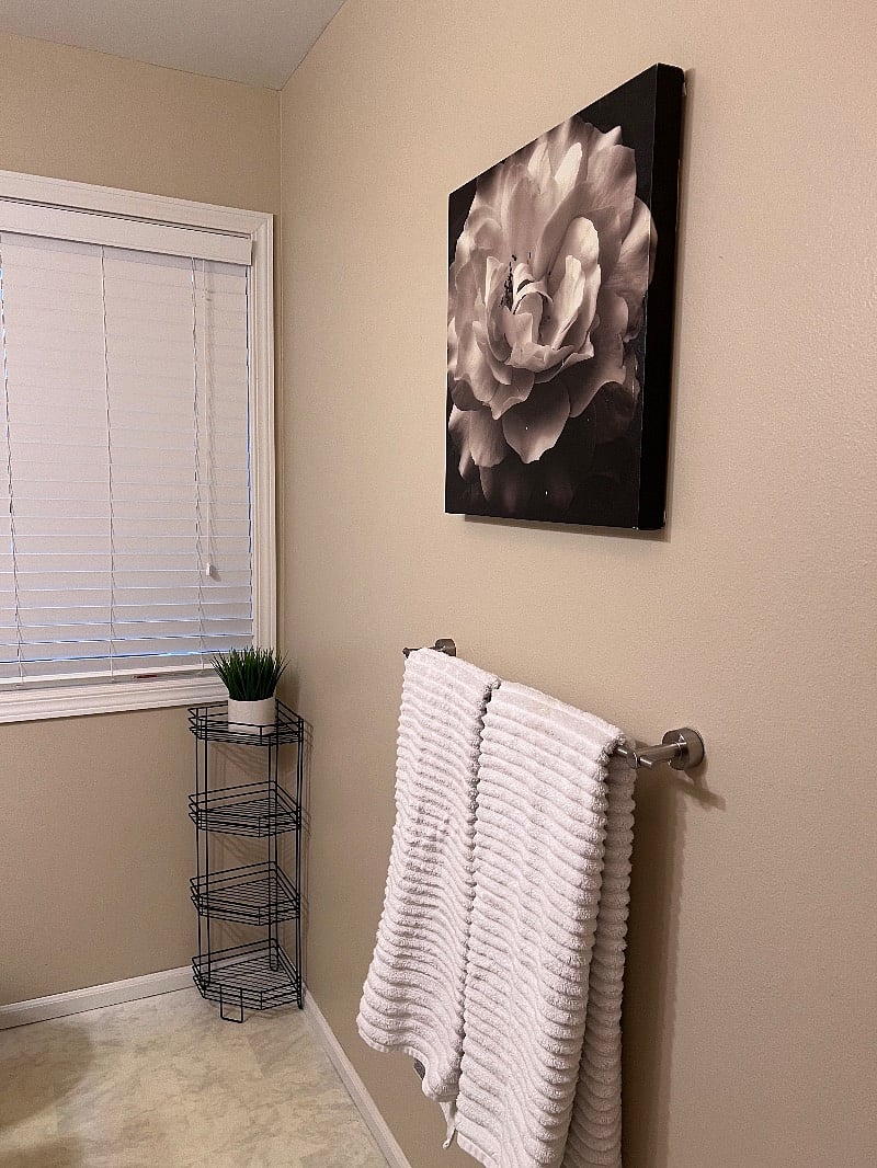 Furnished Finder property 482822_1 photo 17