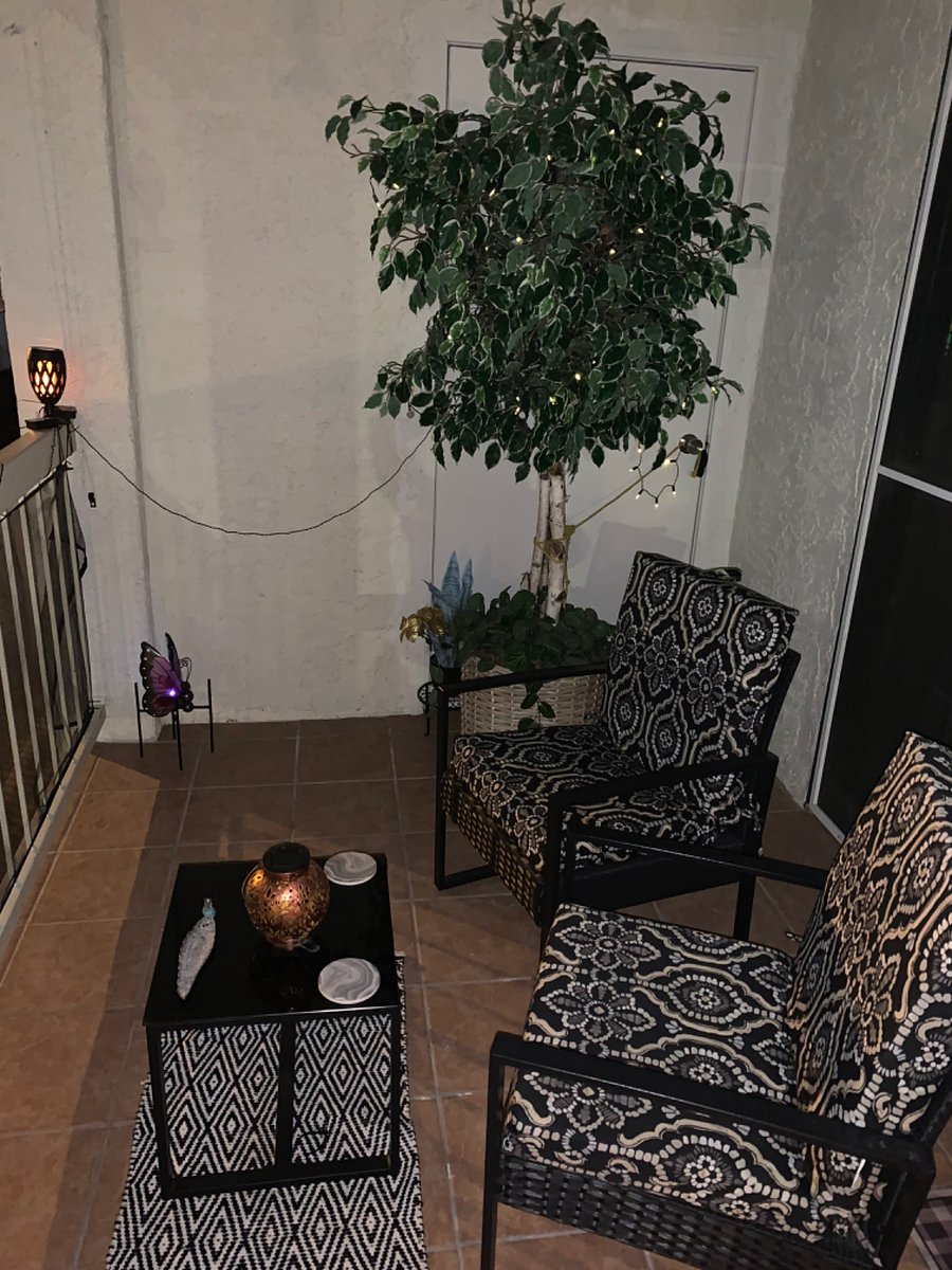 Furnished Finder property 482883_1 photo 16