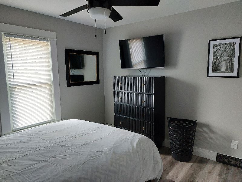Furnished Finder property 483060_1 photo 15