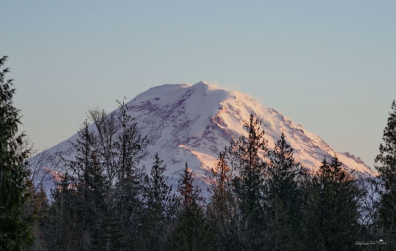 Mt. Rainier View
