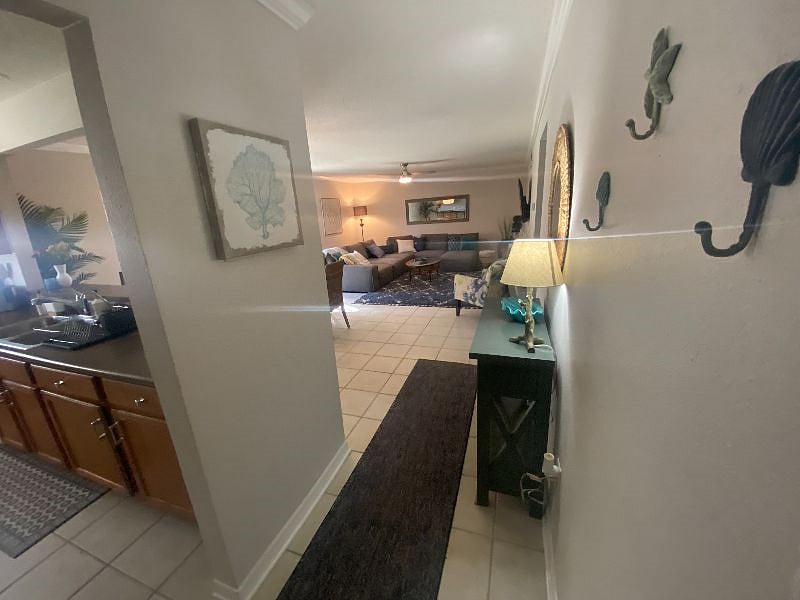Furnished Finder property 483241_1 photo 11