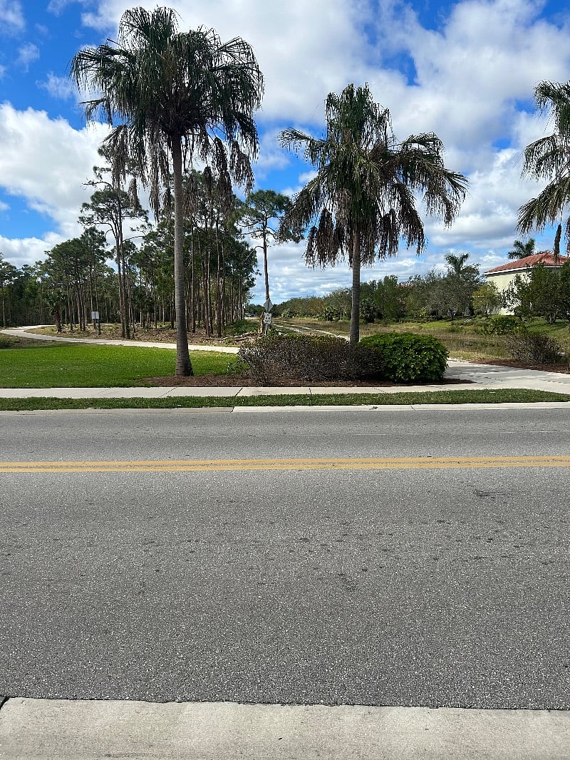 Furnished Finder property 483424_1 photo 15