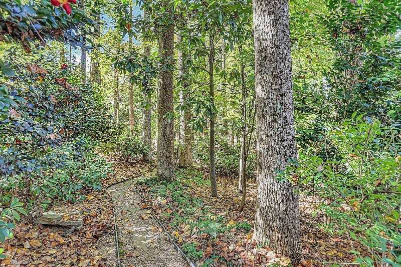 Furnished Finder property 483494_1 photo 14