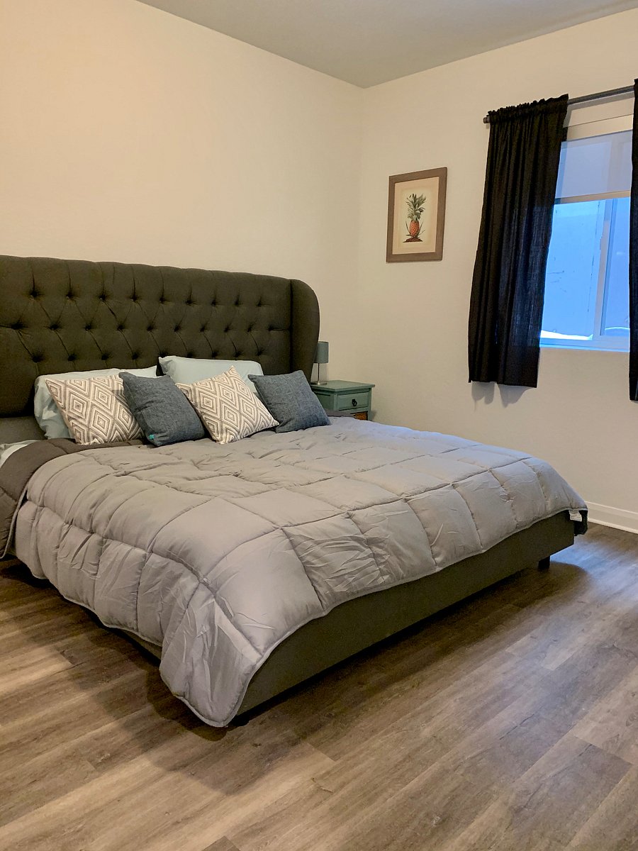 Furnished Finder property 483593_1 photo 15