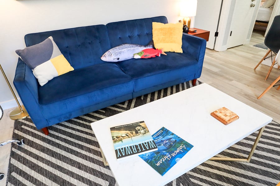 Pull out couch