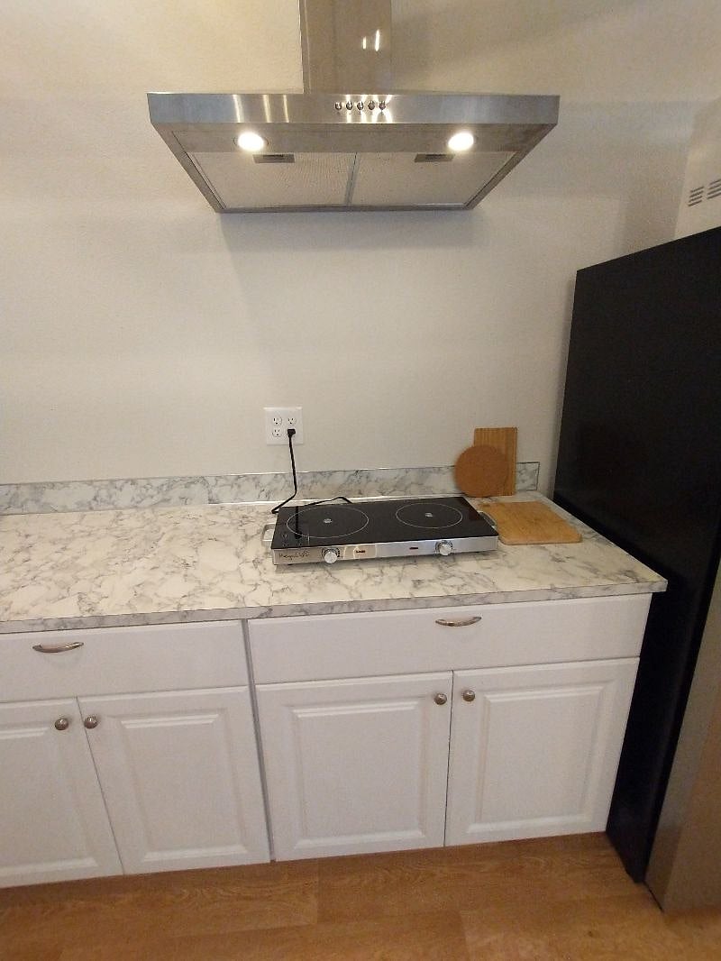 Dual burner electric cook top with hood vent above