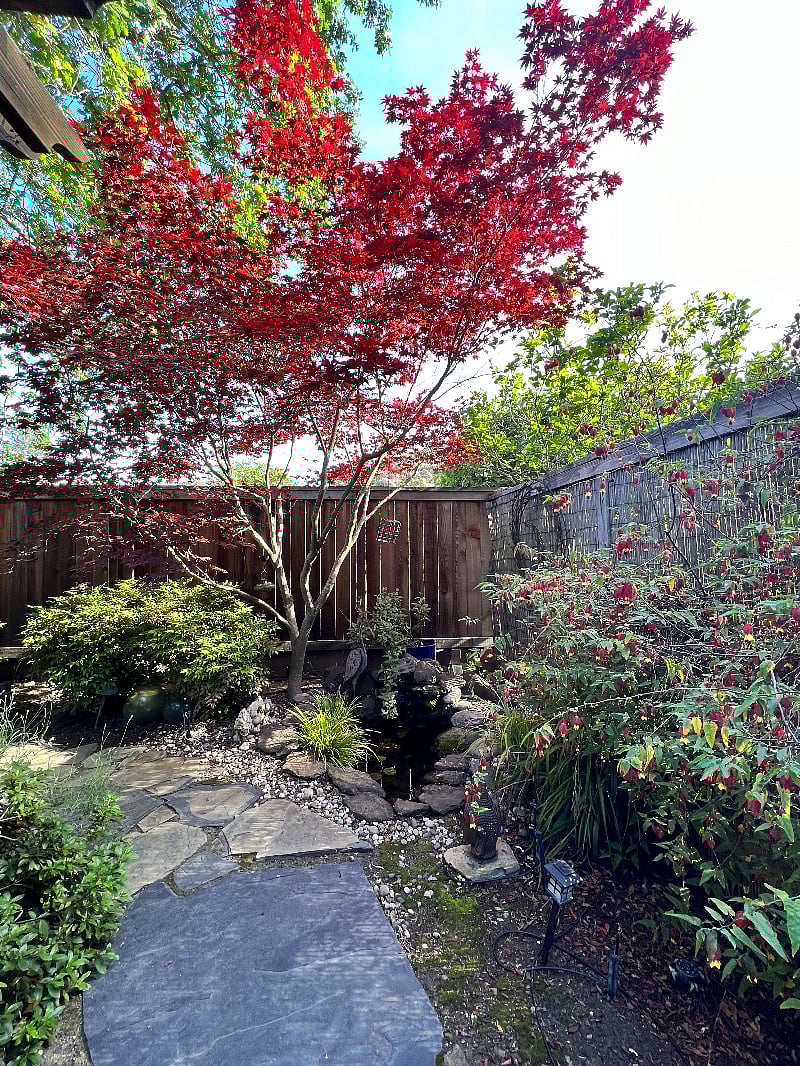 Furnished Finder property 483665_1 photo 27