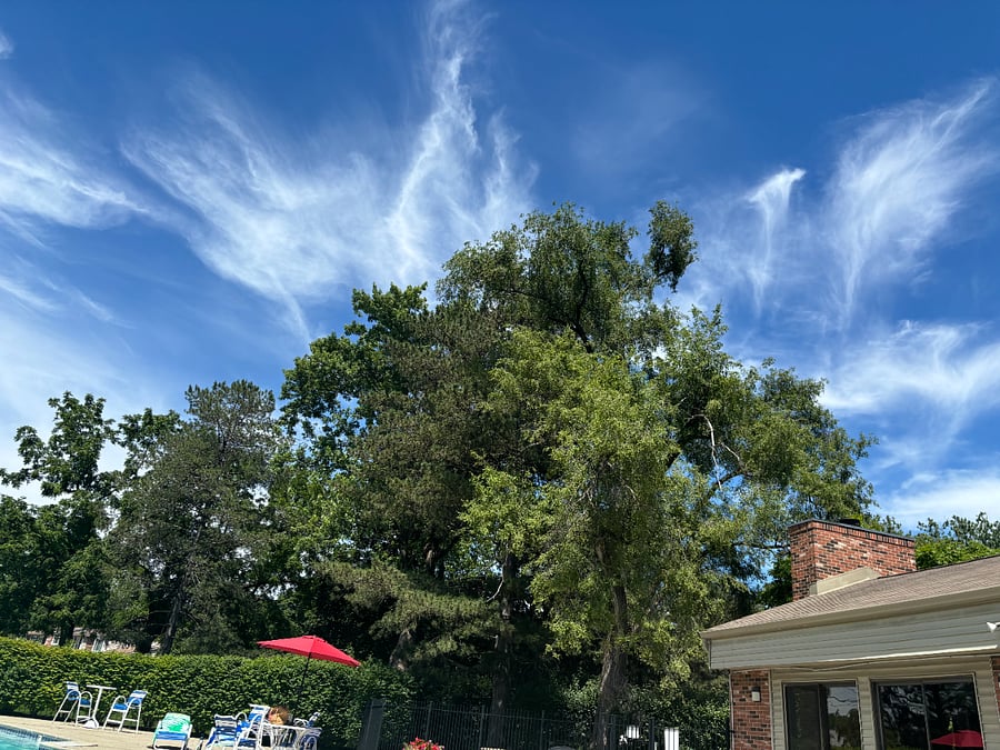 Shared Condo Pool area available to use from Memorial Day to Labor Day