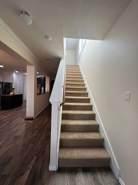 Furnished Finder property 484030_1 photo 16