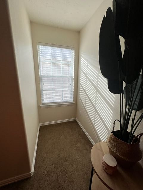 Furnished Finder property 484030_1 photo 21