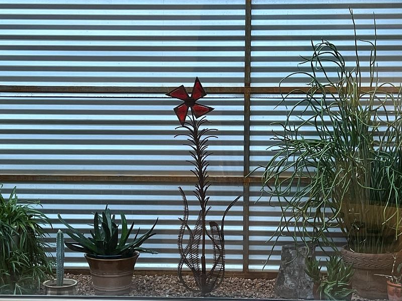 Private backyard features desert vegetation and unique garden art